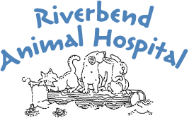 Riverbend Animal Hospital – Hadley, MA