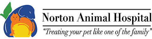Norton Animal Hospital – Norton, MA