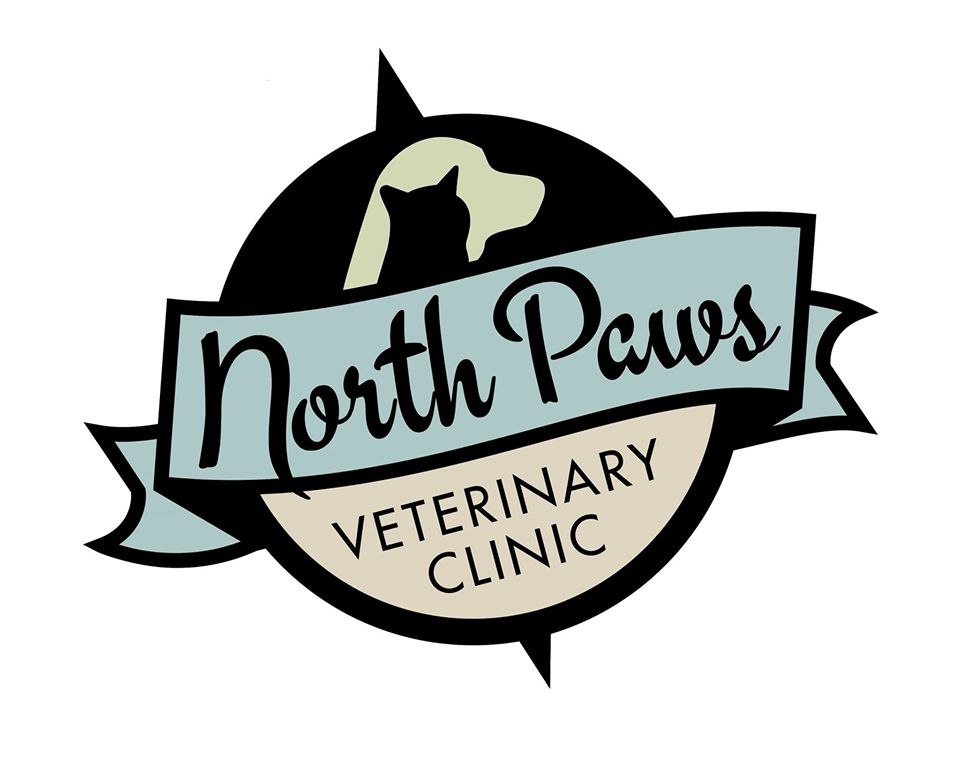 north paws veterinary hospital