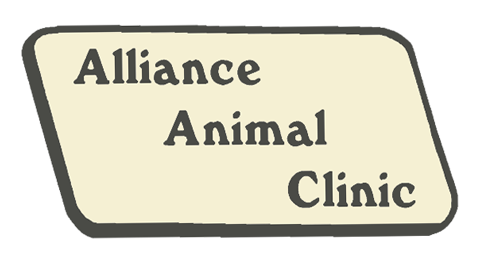 Alliance animal hospital hot sale hours