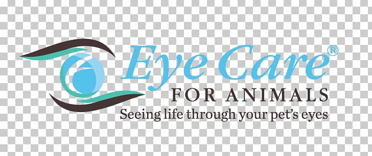 Eye Care For Animals – Culver City, CA