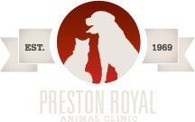 Preston Royal Animal Clinic – Dallas, TX
