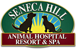 Seneca Hill Animal Hospital Resort & Spa – Great Falls, VA