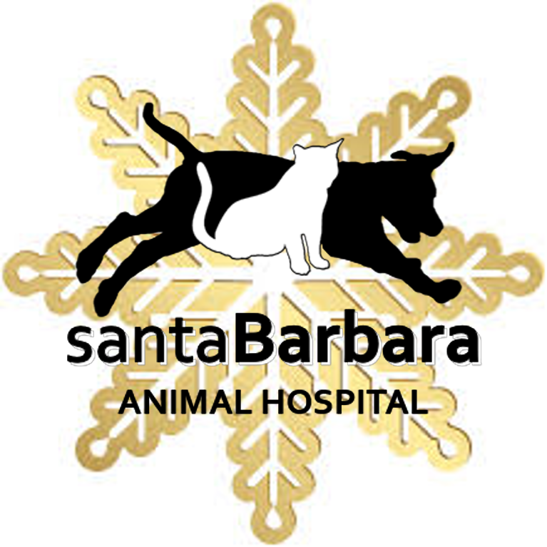 Sb shop animal hospital