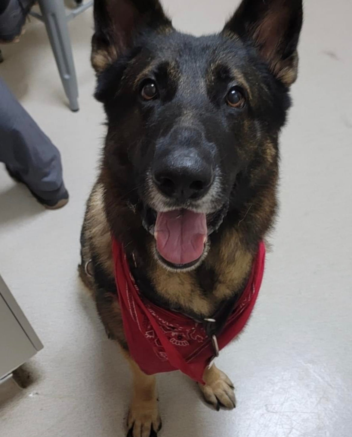 Rivers Edge Veterinary Hospital Metropolis, IL