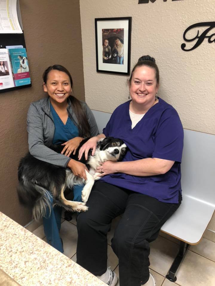 Valley Veterinary Clinic, Pet Lodge & Salon Farmington, NM