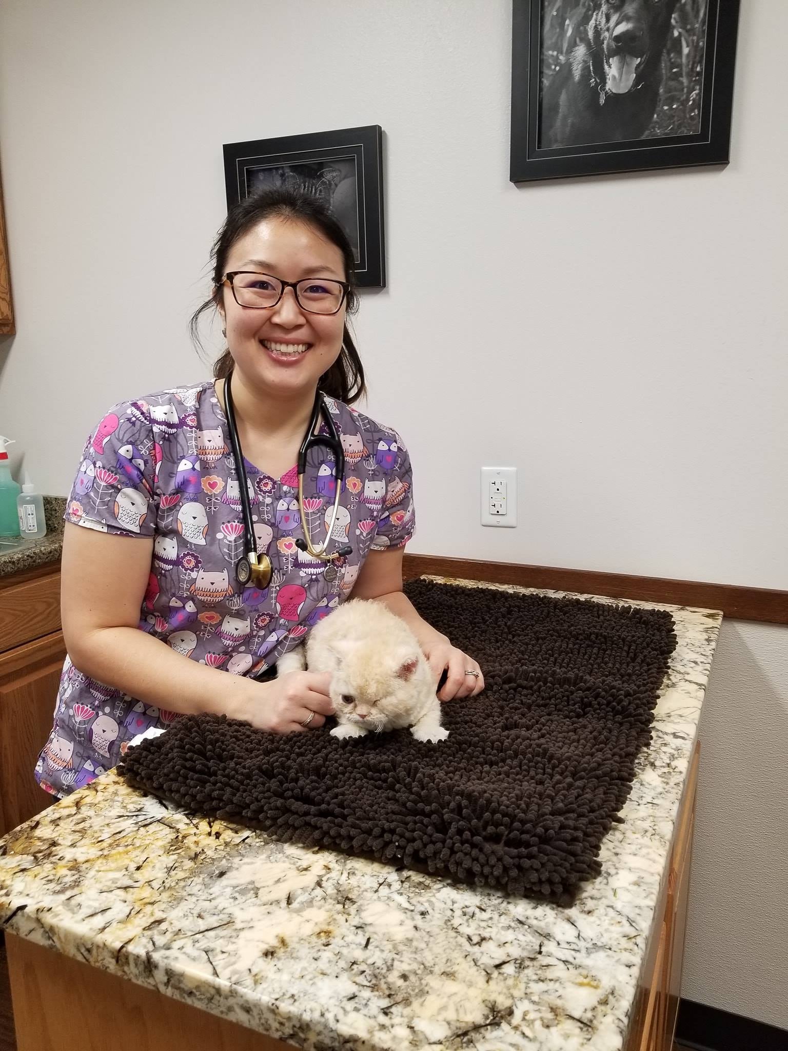 AdamsMarquette Veterinary Service Oxford, WI