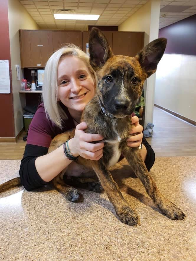 4 Paws Veterinary Care Wynantskill, NY