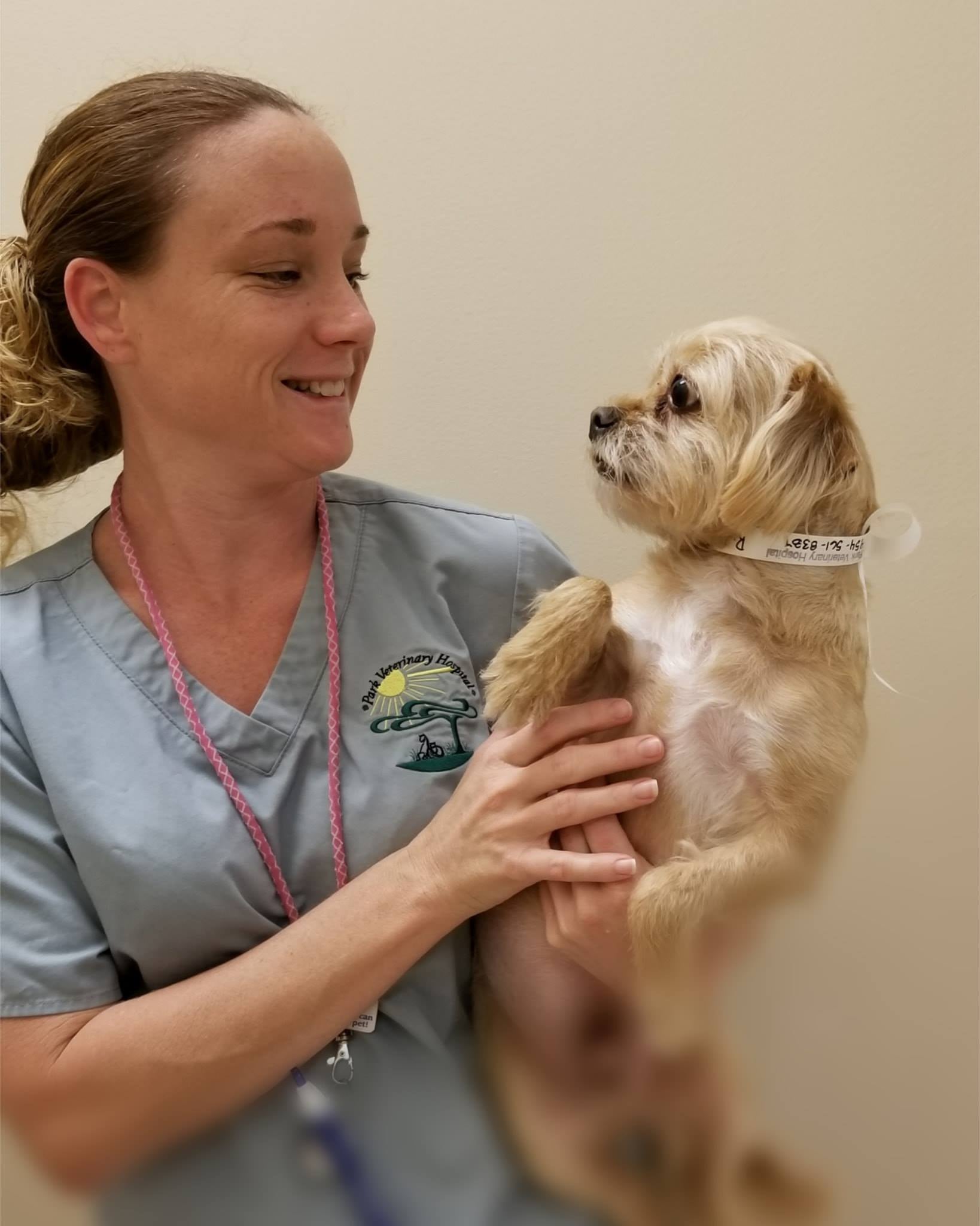 Find Pet Care Information and Veterinarians in Northandrewgardens