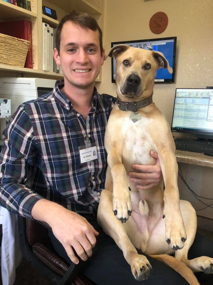 Valley Veterinary Clinic, Pet Lodge & Salon Farmington, NM