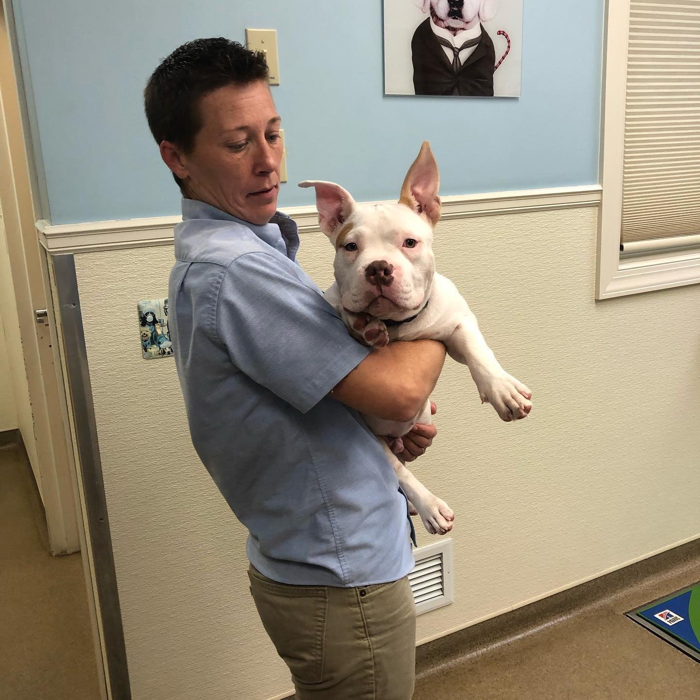 Patt Veterinary Hospital Ltd Gilbertsville, PA