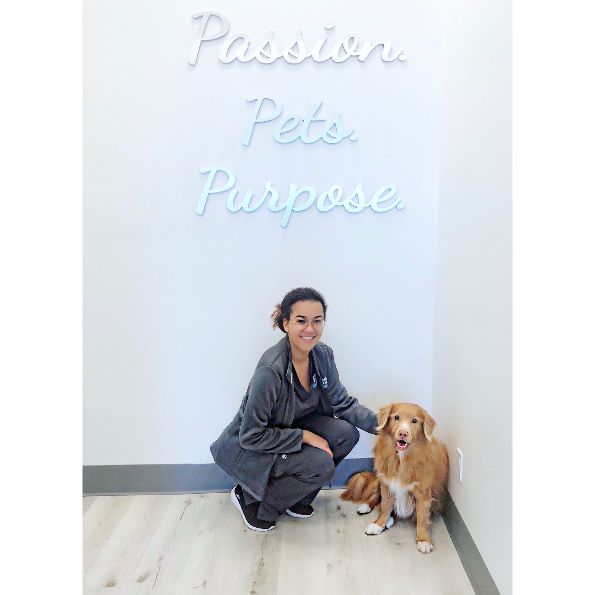 pet health care center