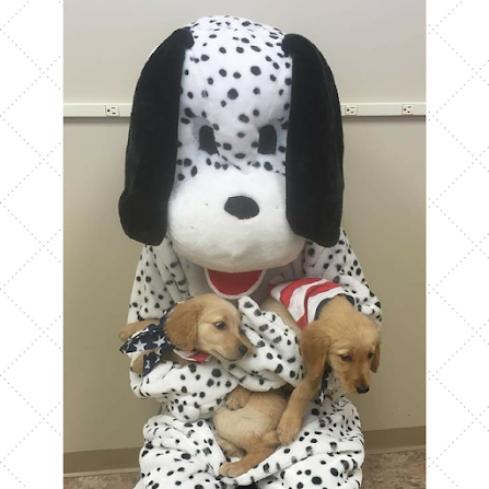 Find Pet Care Information and Veterinarians in Maxville, Missouri Find Pet Care Information and Veterinarians in Maxville, Missouri