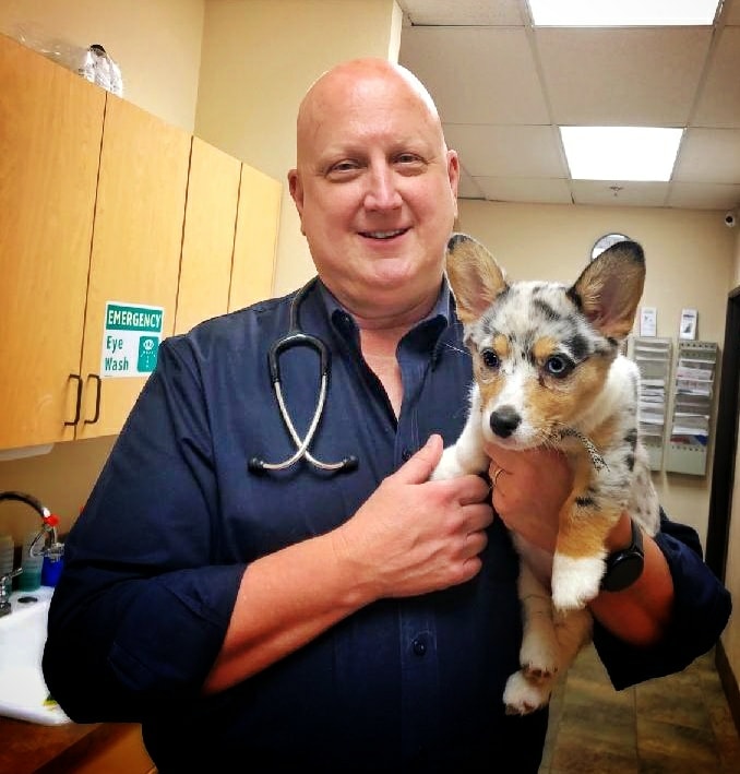 Animal Medical Center of Highland Village – Highland Village, TX Animal Medical Center of Highland Village – Highland Village, TX