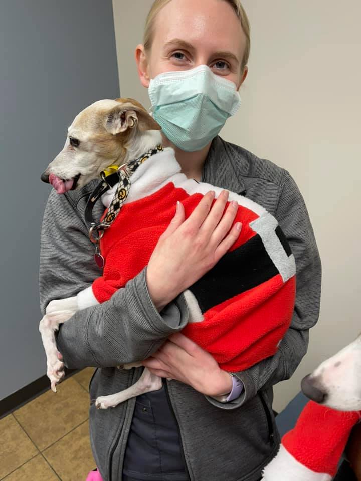 Klein Animal Clinic – Bettendorf, IA Klein Animal Clinic – Bettendorf, IA