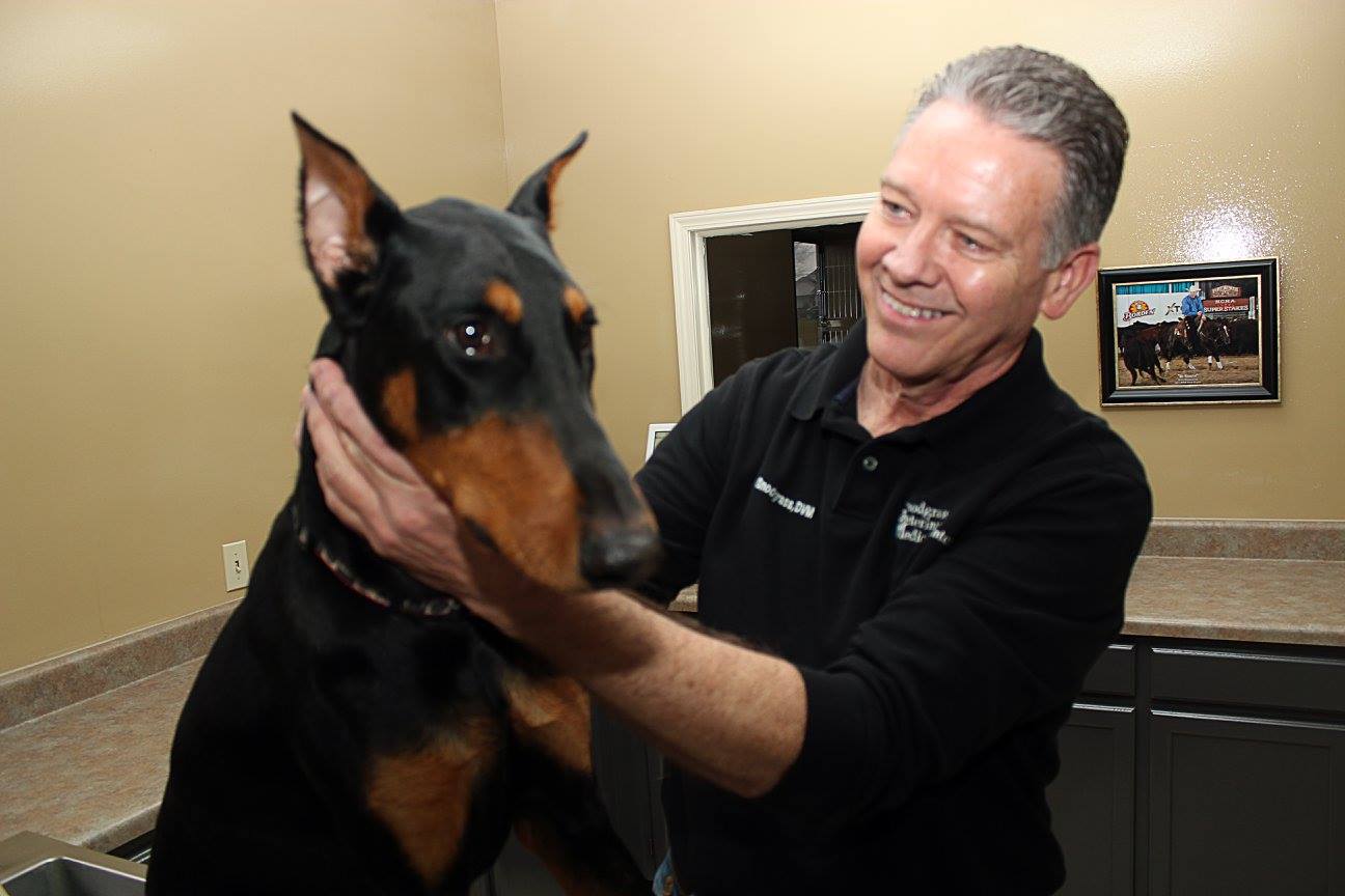 Find Pet Care Information and Veterinarians in Three-springs, Kentucky Find Pet Care Information and Veterinarians in Three-springs, Kentucky