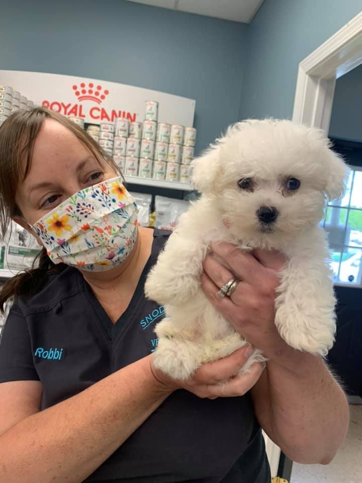 Find Pet Care Information and Veterinarians in Three-springs, Kentucky Find Pet Care Information and Veterinarians in Three-springs, Kentucky