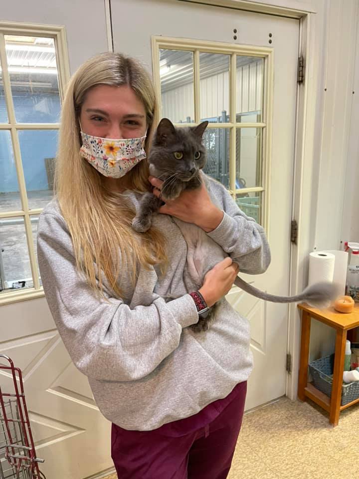 Find Pet Care Information and Veterinarians in Three-springs, Kentucky Find Pet Care Information and Veterinarians in Three-springs, Kentucky