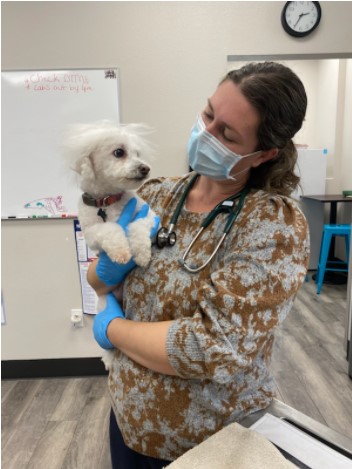 monte vista small animal hospital hiring