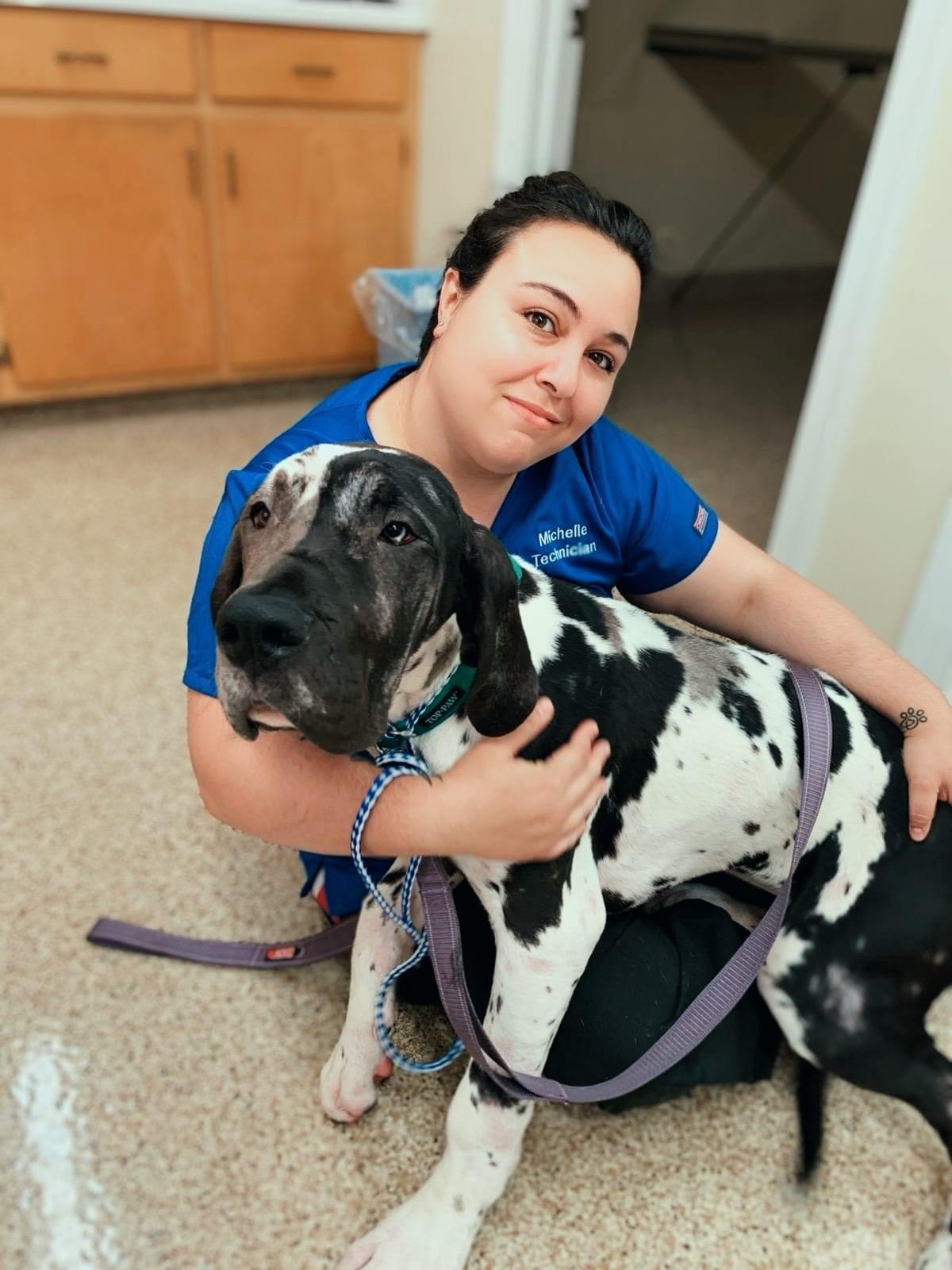 Chatham Animal Clinic – Chatham, VA Chatham Animal Clinic – Chatham, VA