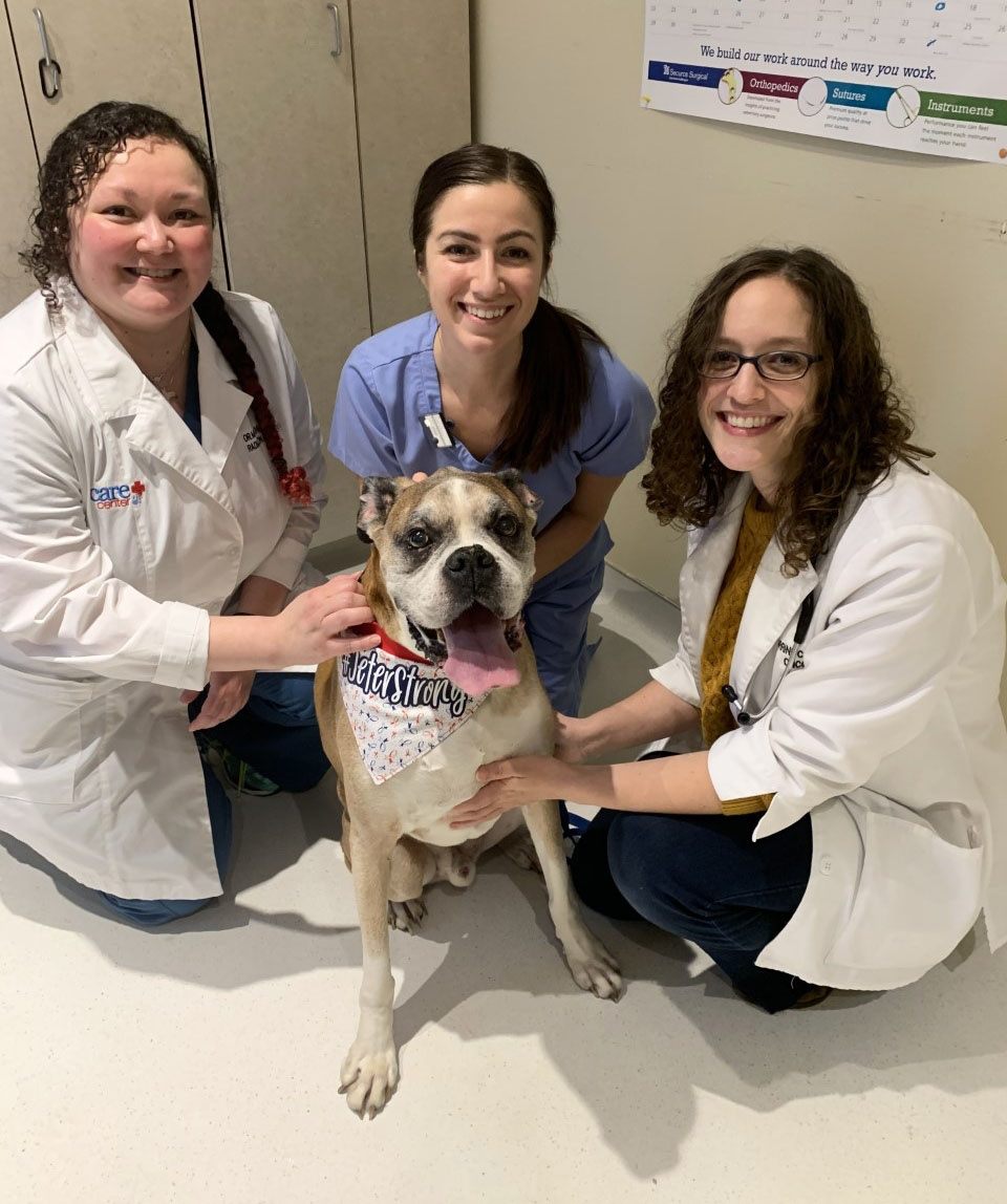 Find Pet Care Information and Veterinarians in Greenhills, Ohio Find Pet Care Information and Veterinarians in Greenhills, Ohio