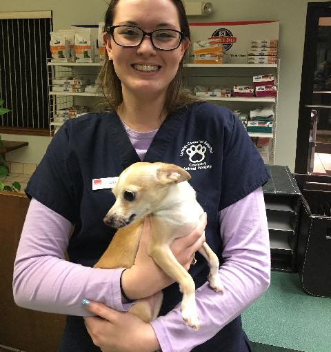 Coventry Animal Hospital – Pottstown, PA Coventry Animal Hospital – Pottstown, PA