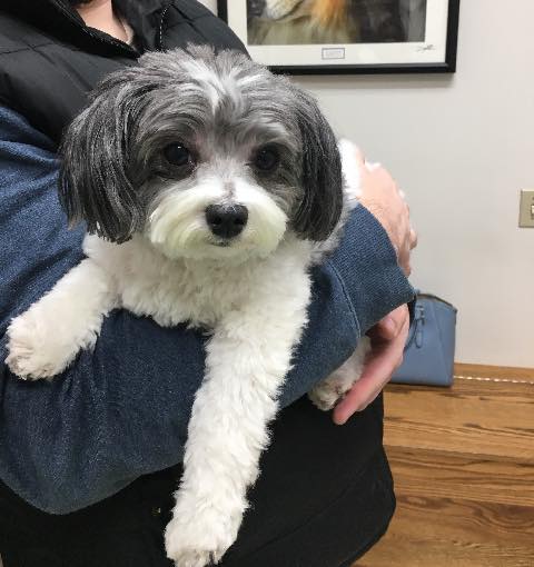 Coventry Animal Hospital – Pottstown, PA Coventry Animal Hospital – Pottstown, PA