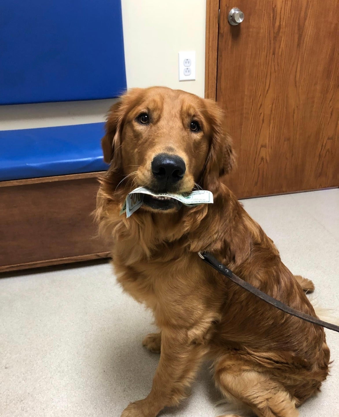 Rivers Edge Veterinary Hospital Metropolis, IL