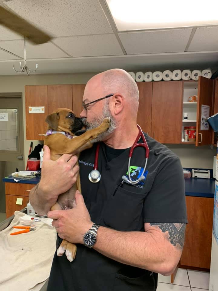 Fairview Animal Hospital – Ellenwood, GA Fairview Animal Hospital – Ellenwood, GA