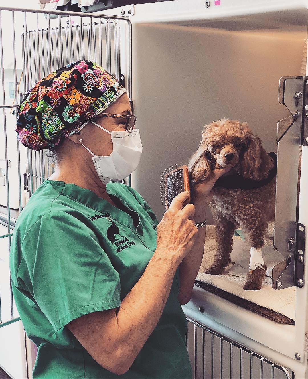 Get Pet Care Information and Find A Veterinarian Near You