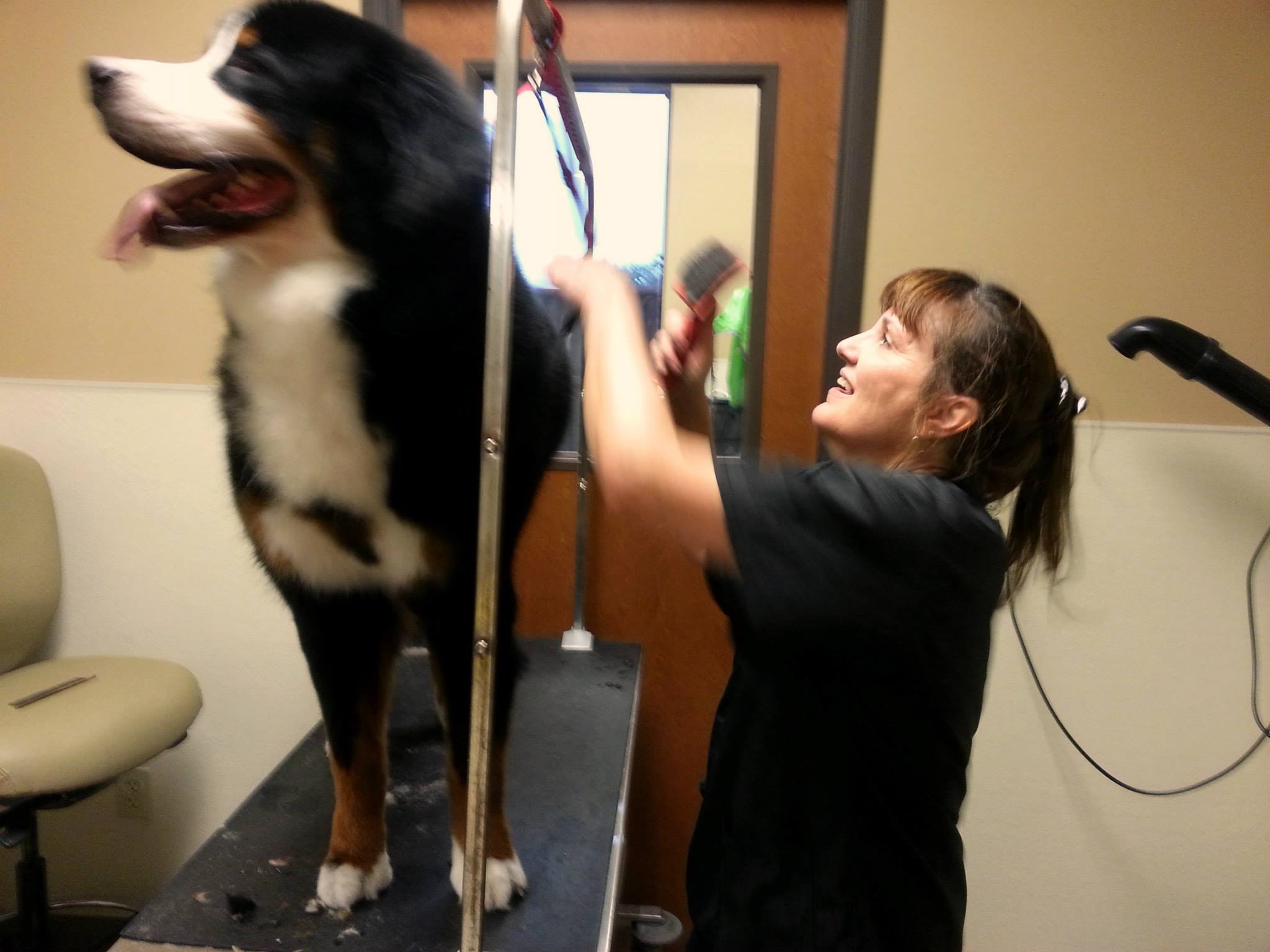 Frisco West Animal Medical Center – Frisco, TX Frisco West Animal Medical Center – Frisco, TX
