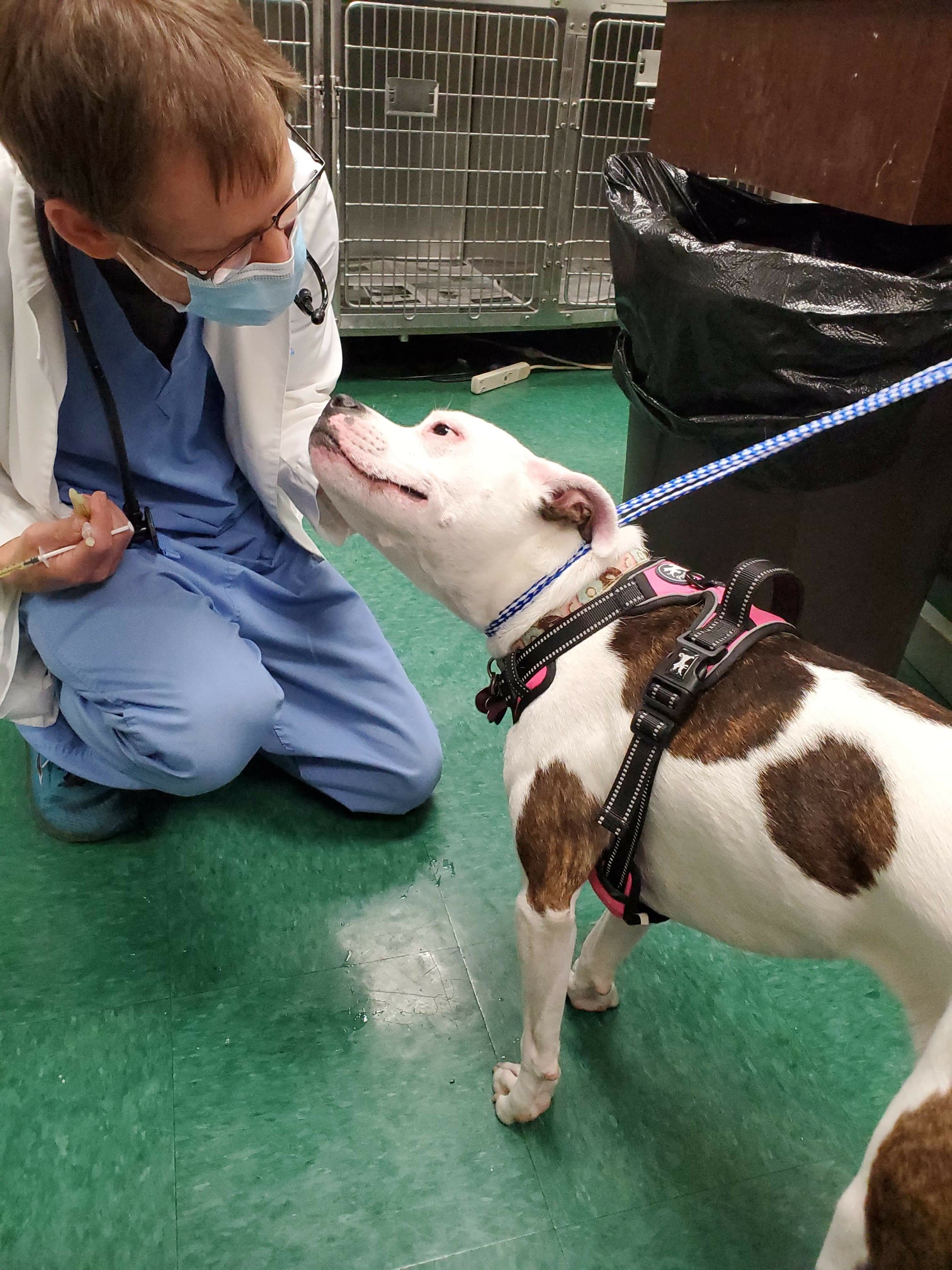 Find Pet Care Information and Veterinarians in Cordova, Tennessee Find Pet Care Information and Veterinarians in Cordova, Tennessee