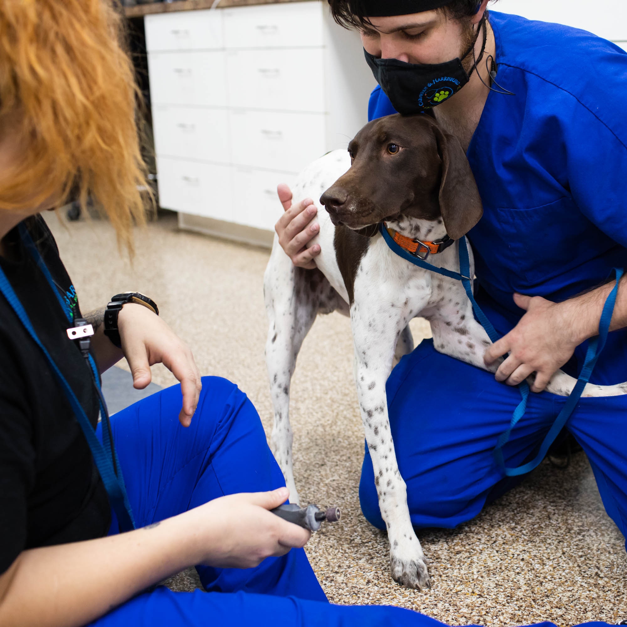 Harrisburg Animal Hospital – , Harrisburg Animal Hospital – ,