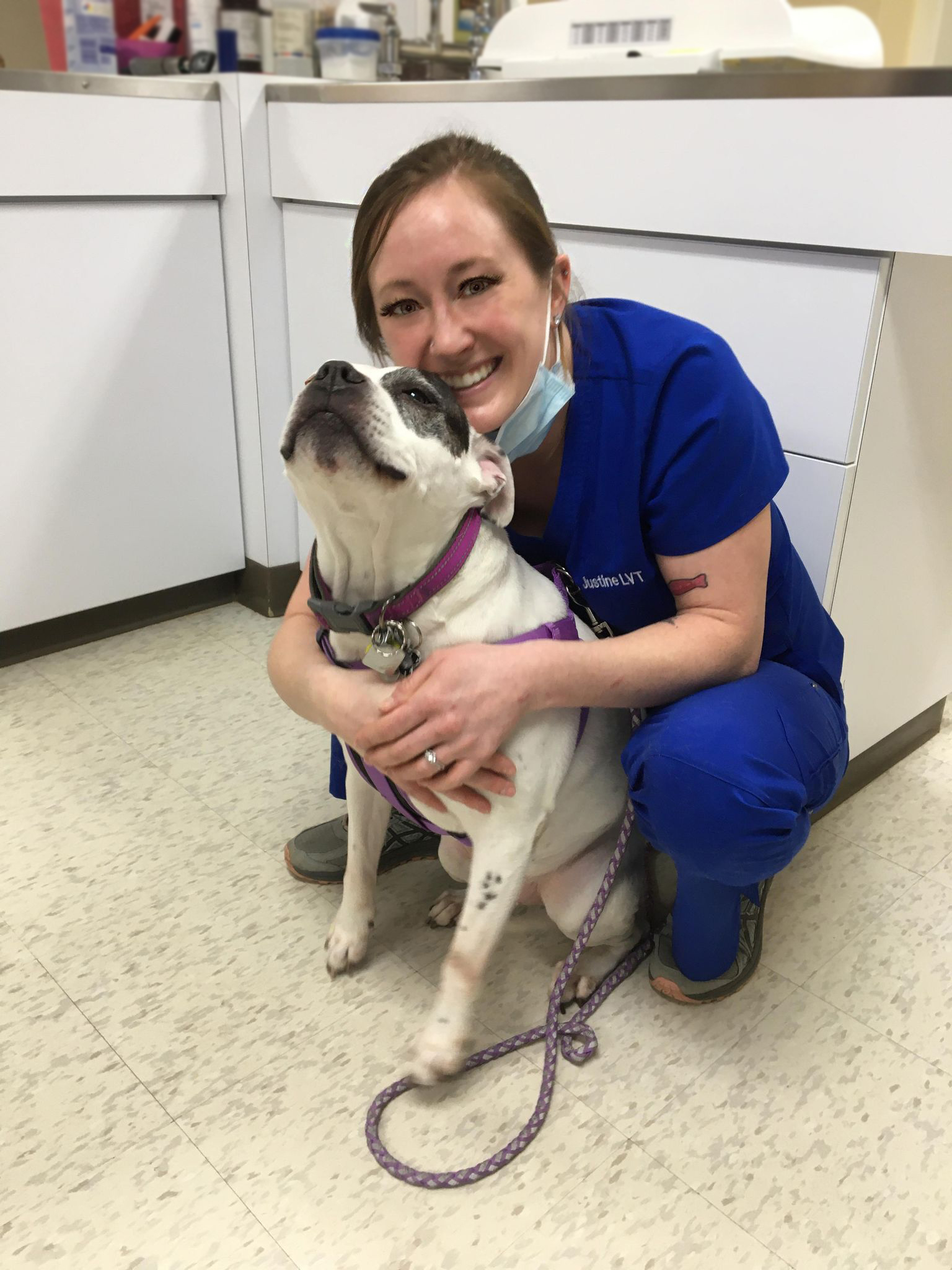 Find Pet Care Information and Veterinarians in Geneseo, New-york