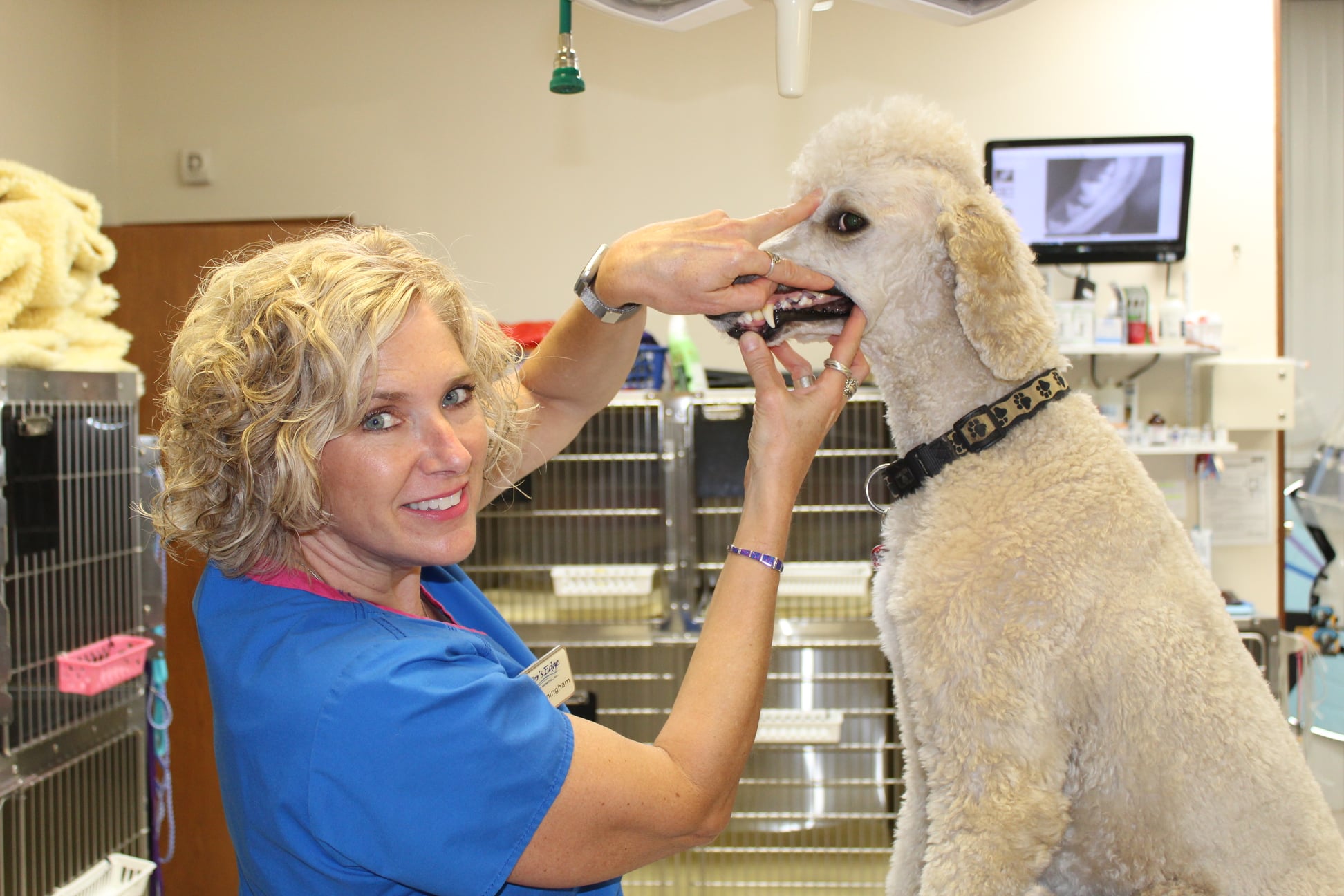 Rivers Edge Veterinary Hospital Metropolis, IL