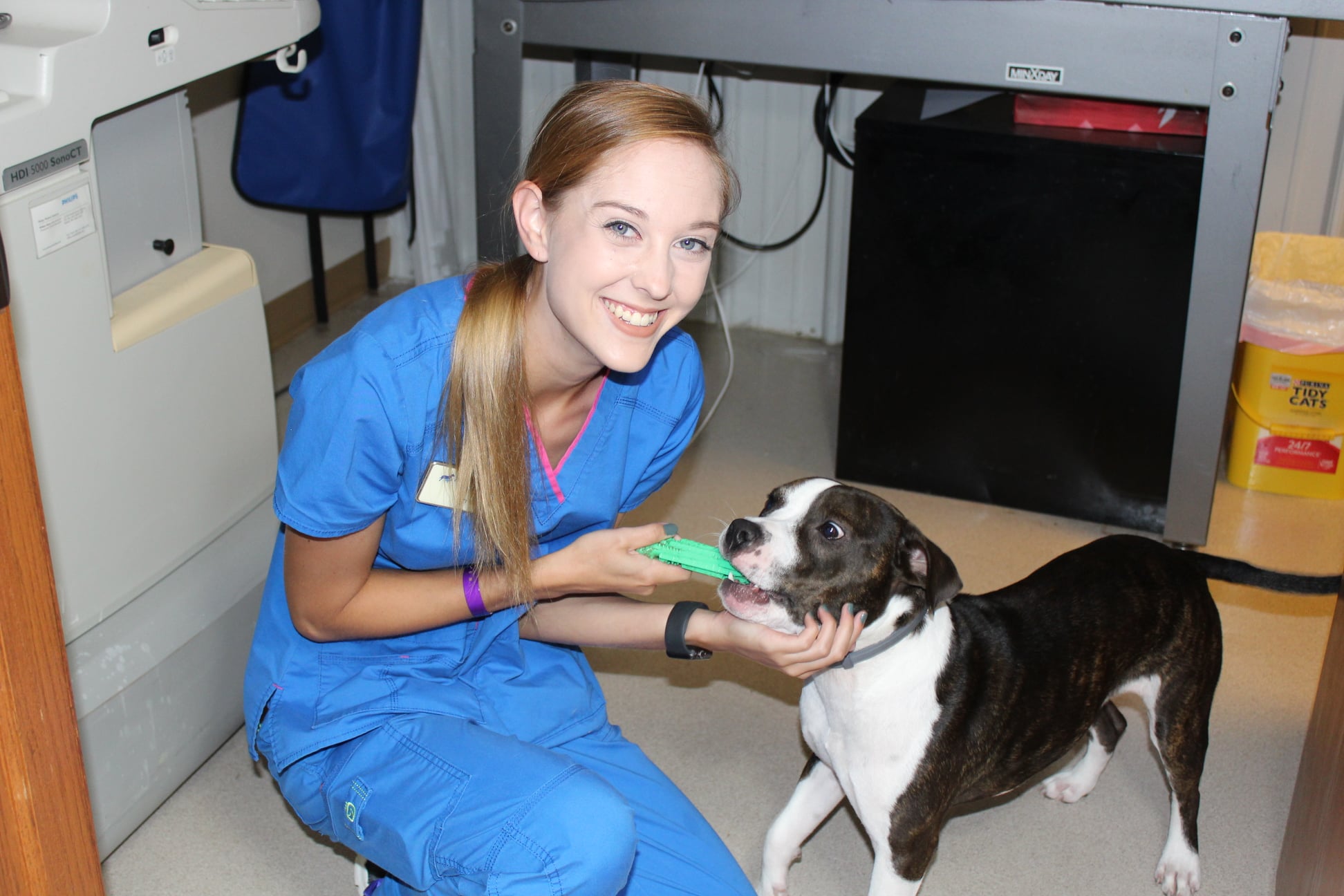 Rivers Edge Veterinary Hospital Metropolis, IL