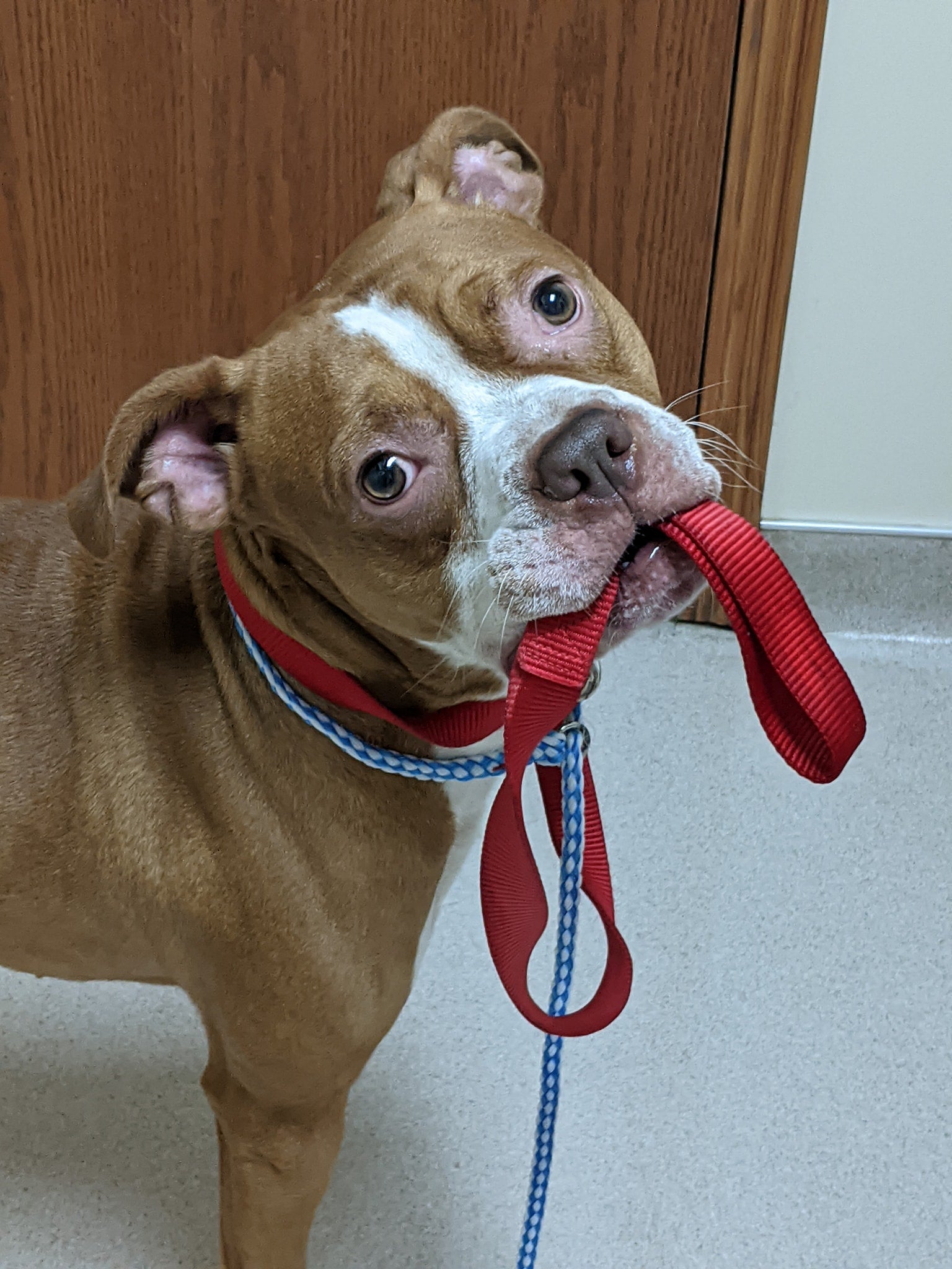 Rivers Edge Veterinary Hospital Metropolis, IL