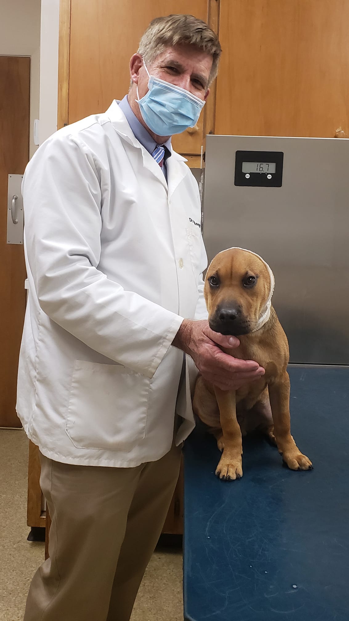 Find Pet Care Information and Veterinarians in Sherwood-forest, North-carolina Find Pet Care Information and Veterinarians in Sherwood-forest, North-carolina