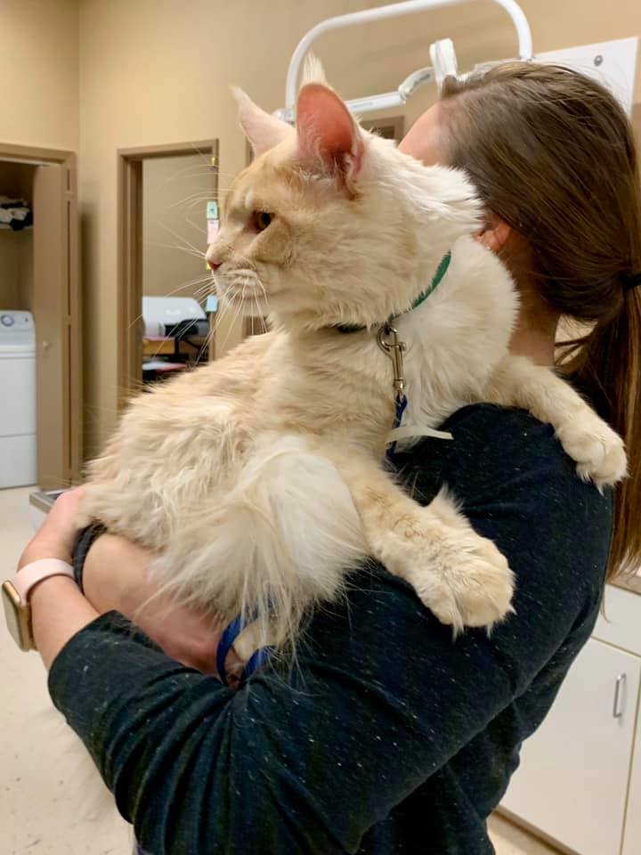 Get Pet Care Information and Find A Veterinarian Near You