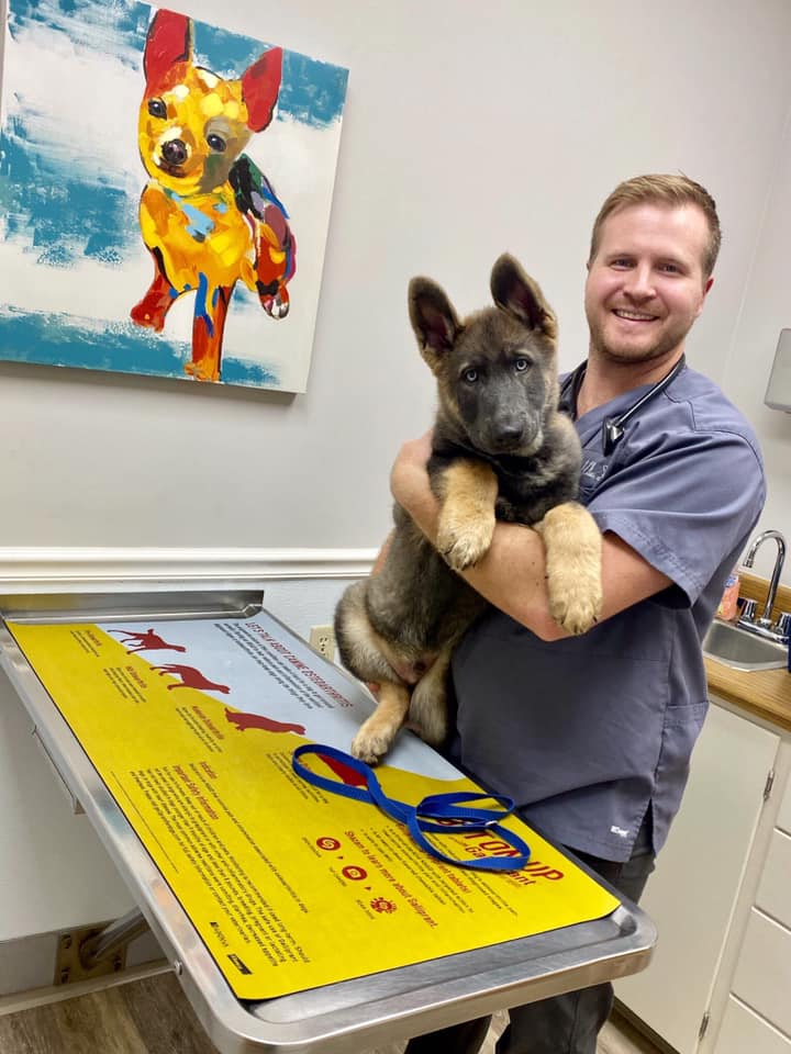 Kinard Animal Hospital – Greenwood, SC Kinard Animal Hospital – Greenwood, SC