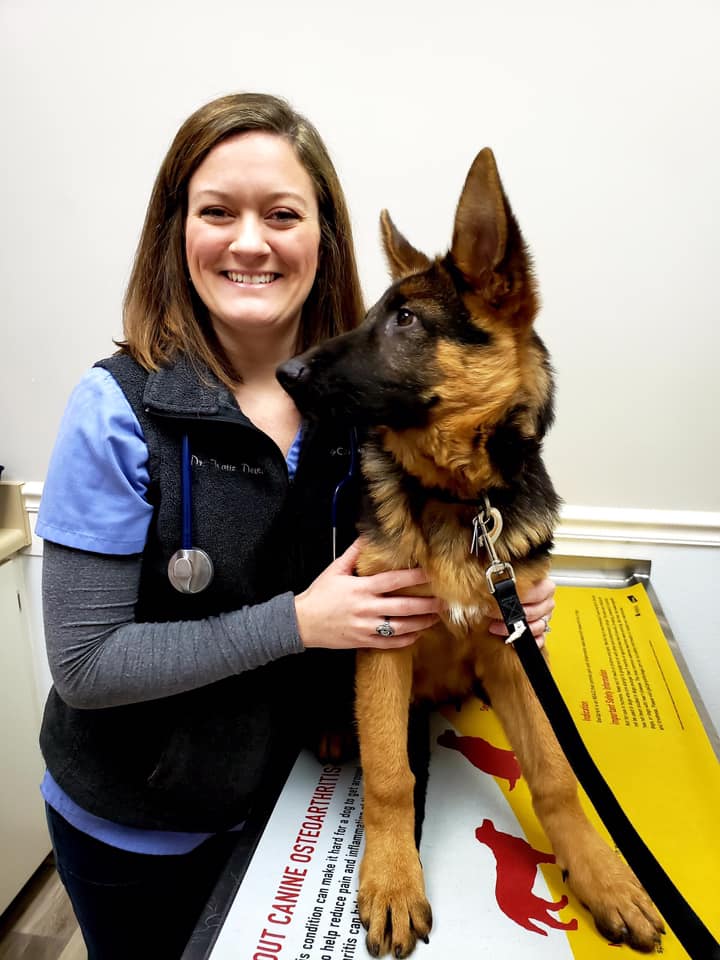 Kinard Animal Hospital – Greenwood, SC Kinard Animal Hospital – Greenwood, SC