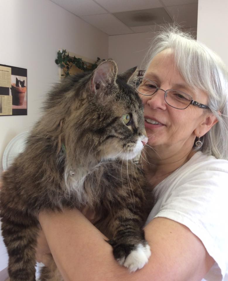 Capitaland Animal Hospital – Latham, NY Capitaland Animal Hospital – Latham, NY