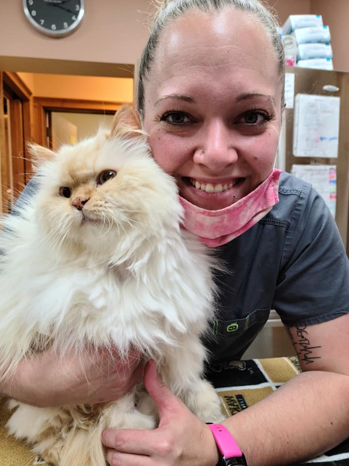 Animal Hospital of Lewisville – Lewisville, NC Animal Hospital of Lewisville – Lewisville, NC
