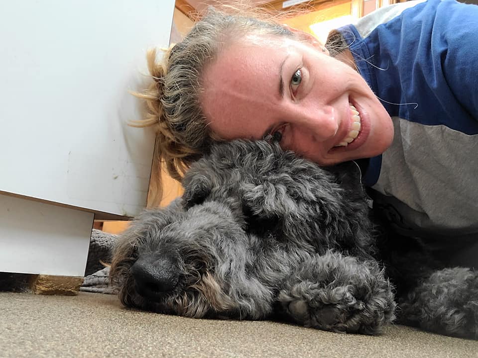 Animal Hospital of Lewisville – Lewisville, NC Animal Hospital of Lewisville – Lewisville, NC