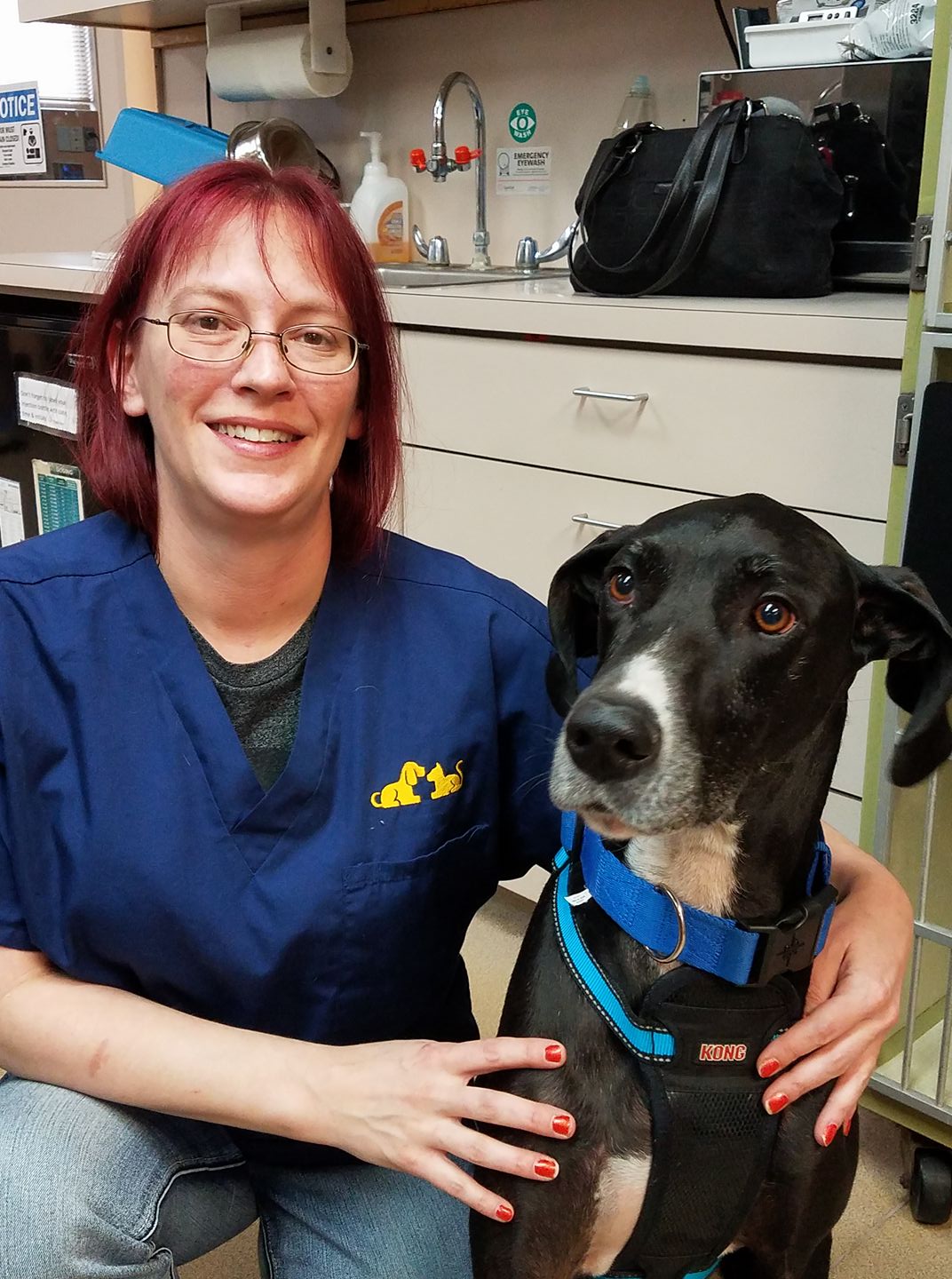 Mercy Pet Clinic – Houston, TX Mercy Pet Clinic – Houston, TX