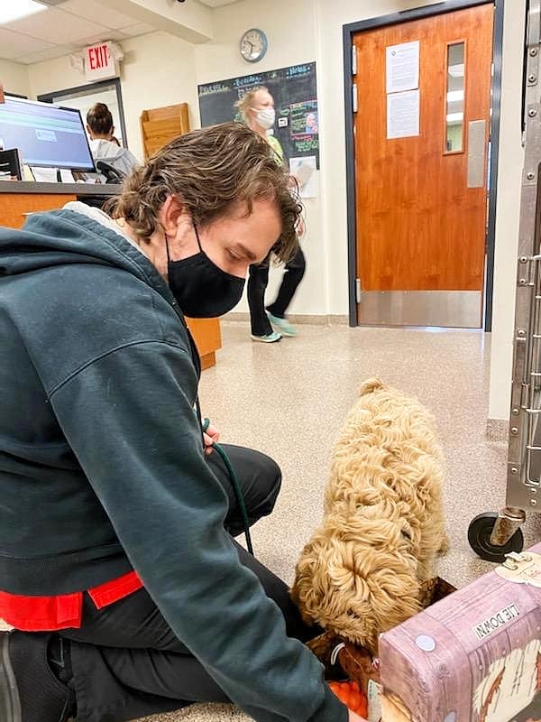 Midlothian Animal Clinic – Midlothian, VA Midlothian Animal Clinic – Midlothian, VA