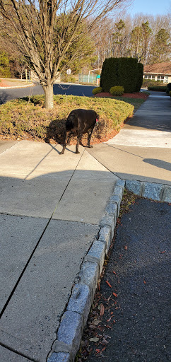 All Fur Paws Animal Hospital – Millstone Township, NJ All Fur Paws Animal Hospital – Millstone Township, NJ