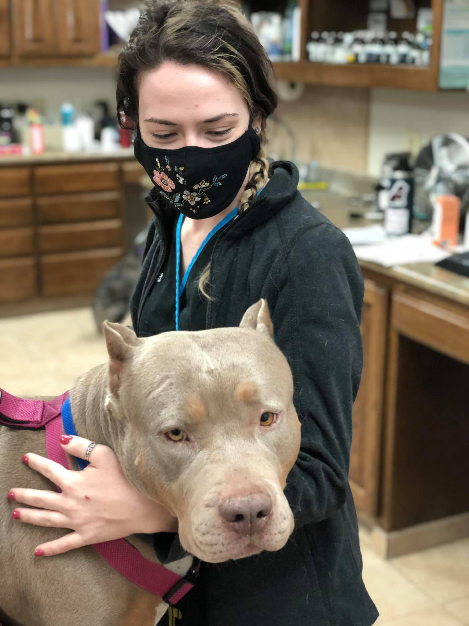 Find Pet Care Information and Veterinarians in Kentwood-manor, Texas Find Pet Care Information and Veterinarians in Kentwood-manor, Texas