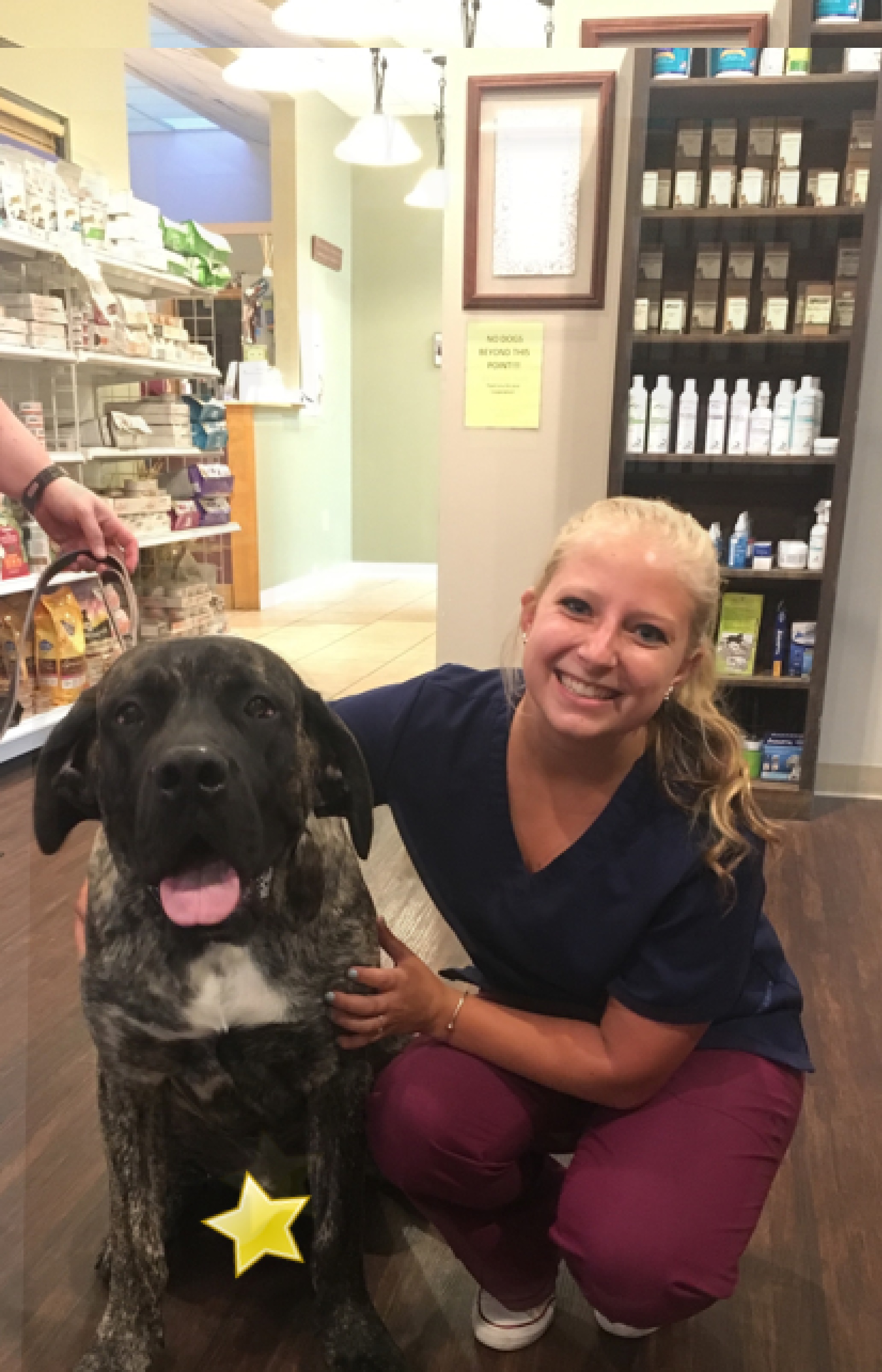 The Family Pet Hospital Ashland, MA