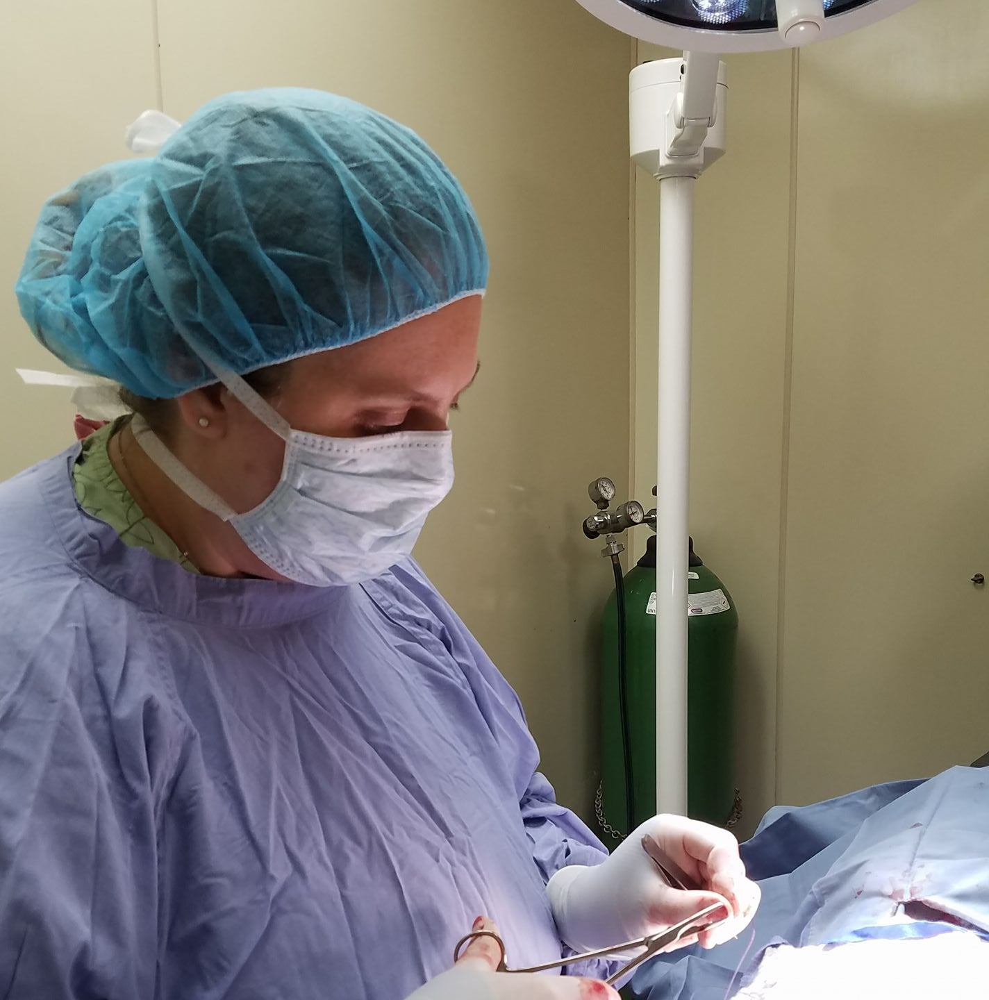 TLC Veterinary Clinic Olympia, WA